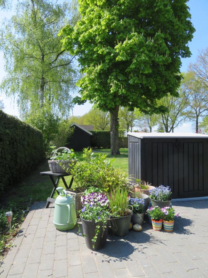 Vakantiewoning De Klaproos Holiday home Bojil